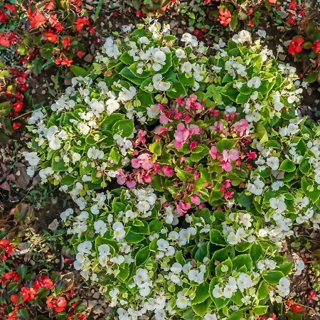 Appartement Kate-3 By Interhome *